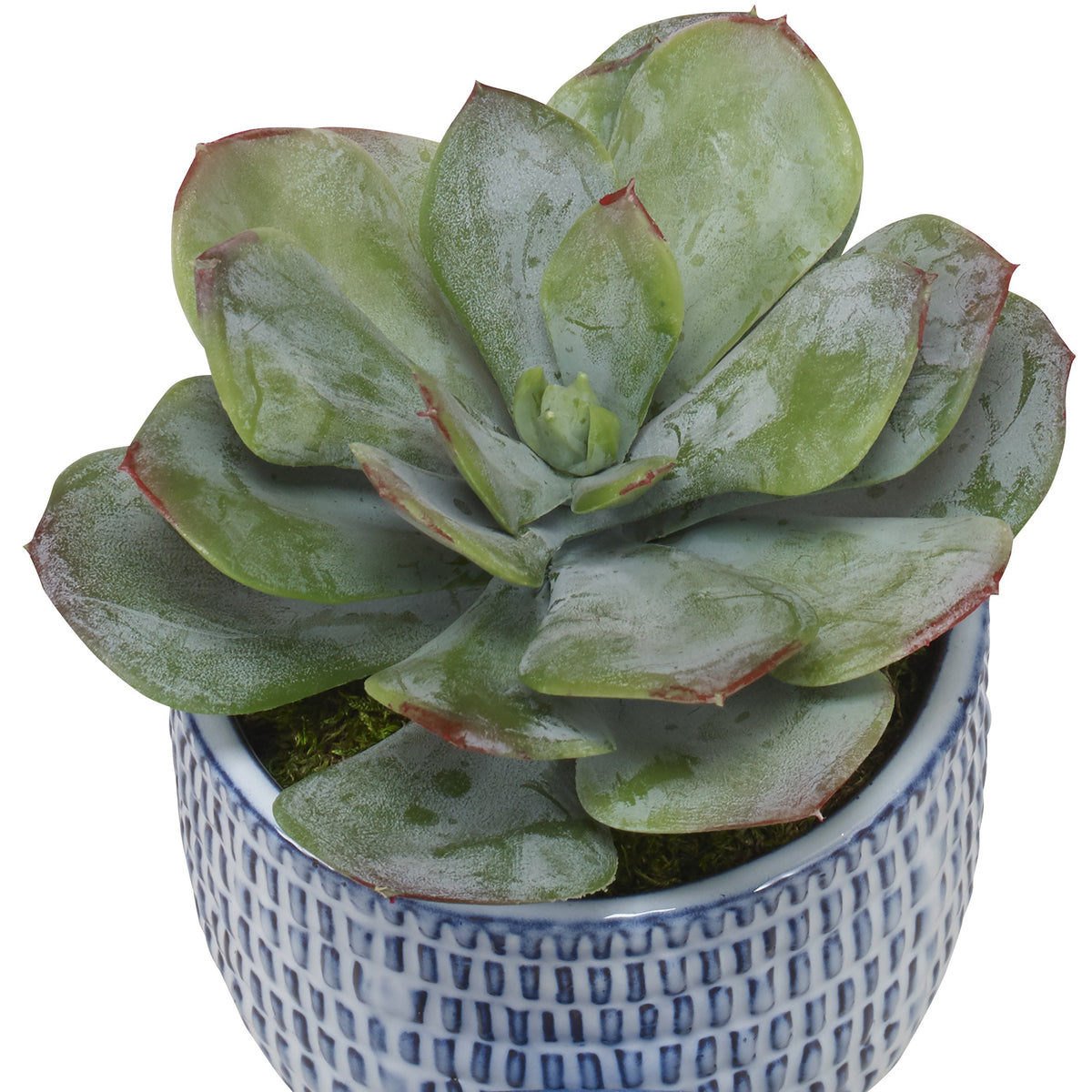 Puebla Greenery in Blue and White Pots – Set of 3