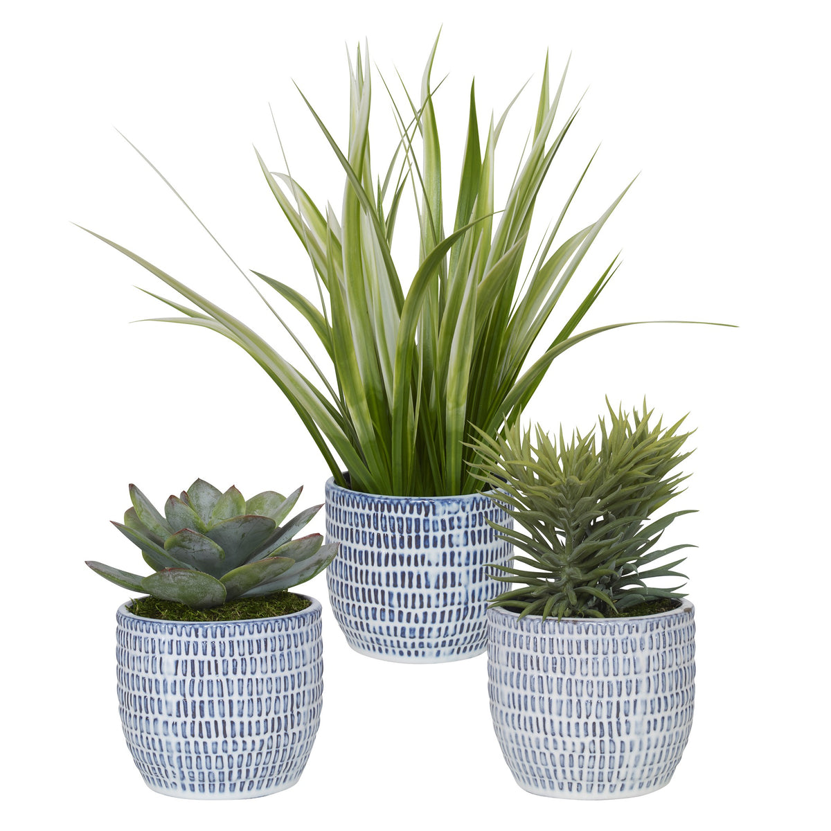 Puebla Greenery in Blue and White Pots – Set of 3