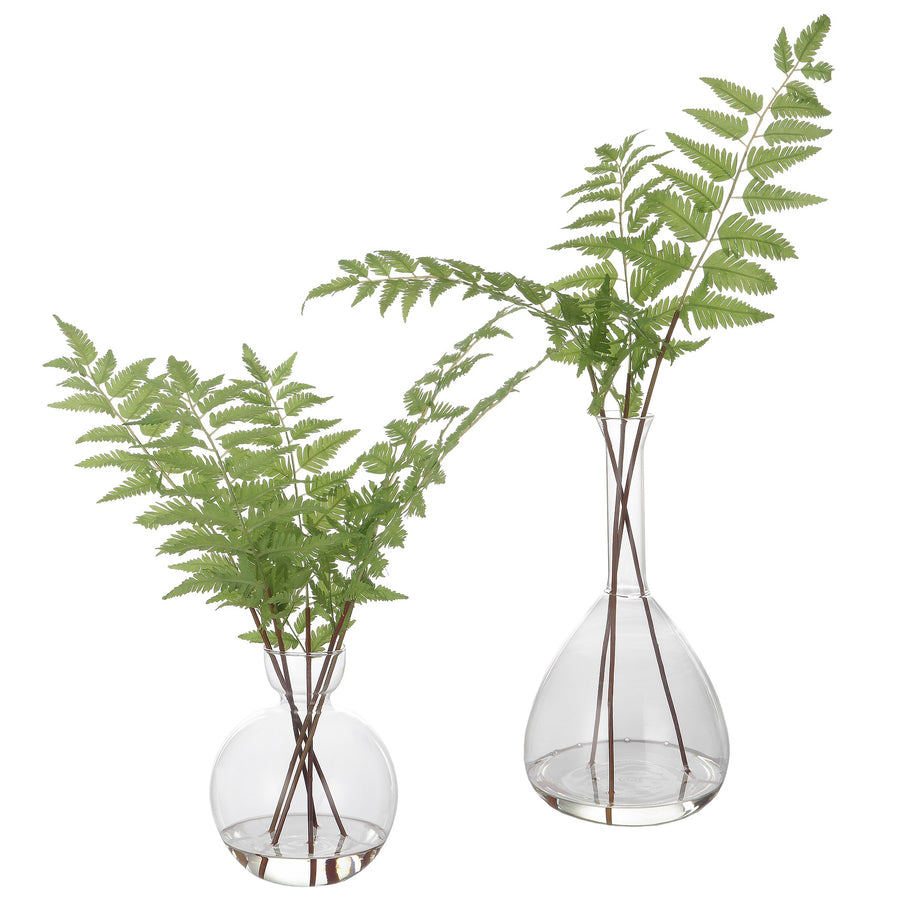 Country Ferns – Set of 2