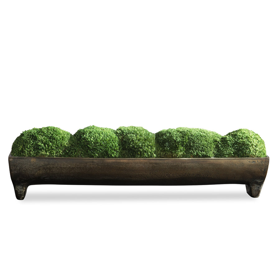 Canal Moss Small Centrepiece