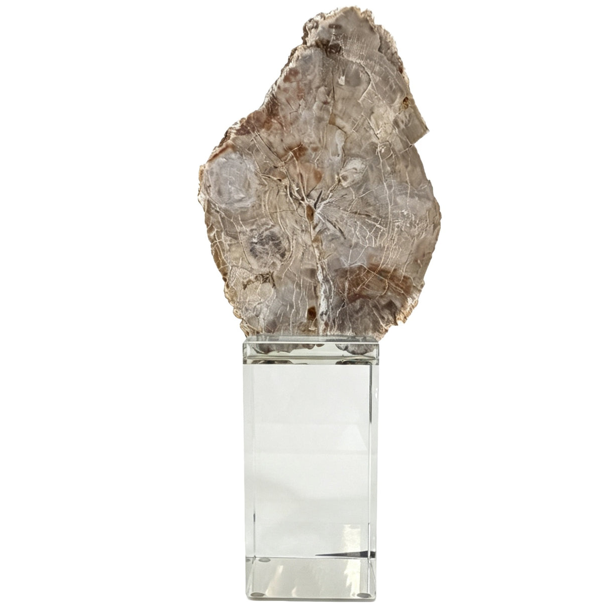 Bram Petrified Wood Sculpture – Large