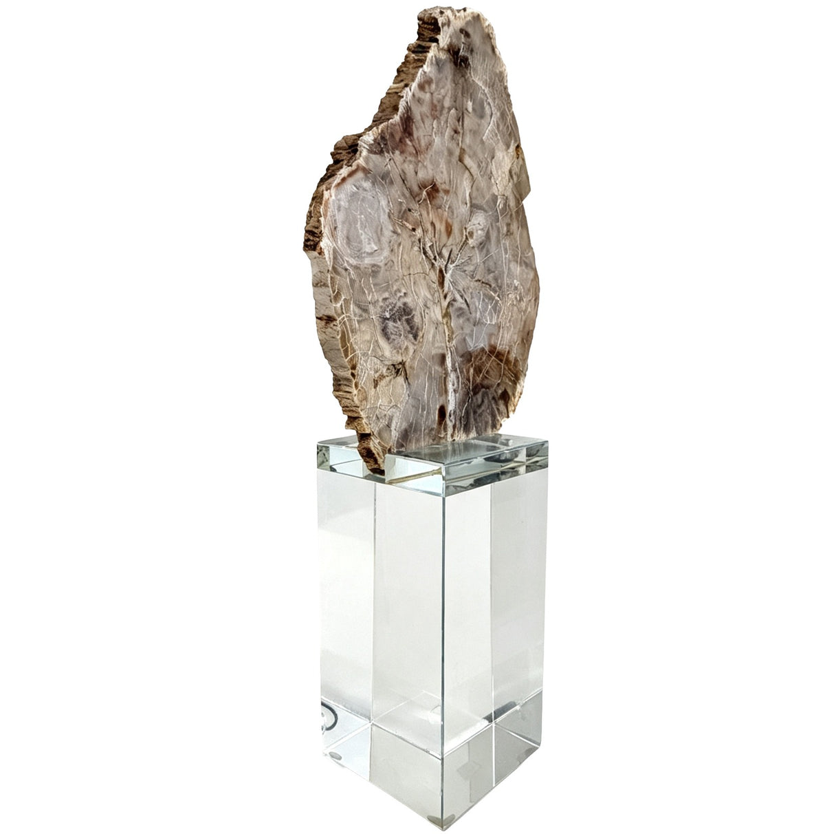 Bram Petrified Wood Sculpture – Large