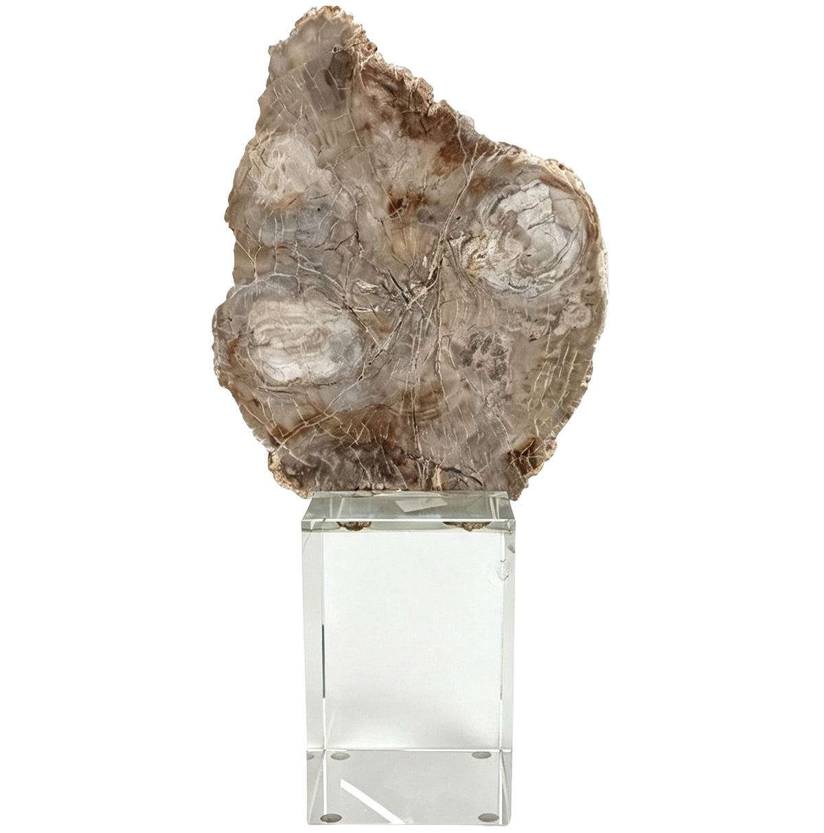 Bram Petrified Wood Sculpture – Medium