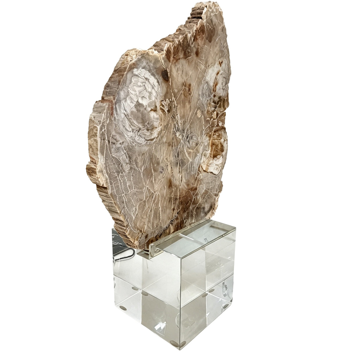 Bram Petrified Wood Sculpture – Small