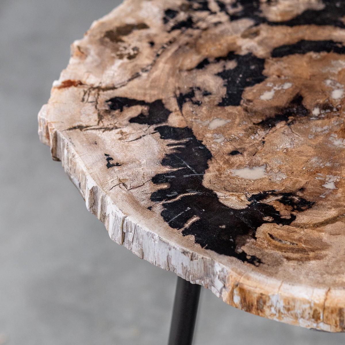 Mircea Petrified Wood Accent Table