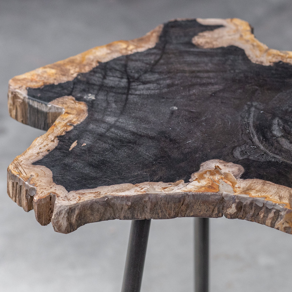 Mircea Petrified Wood Accent Table