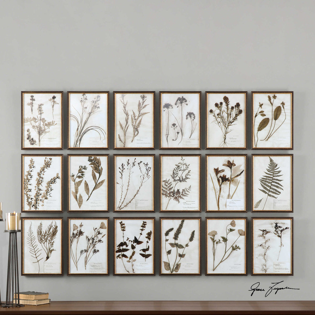 Botany Framed Prints, Set of 18