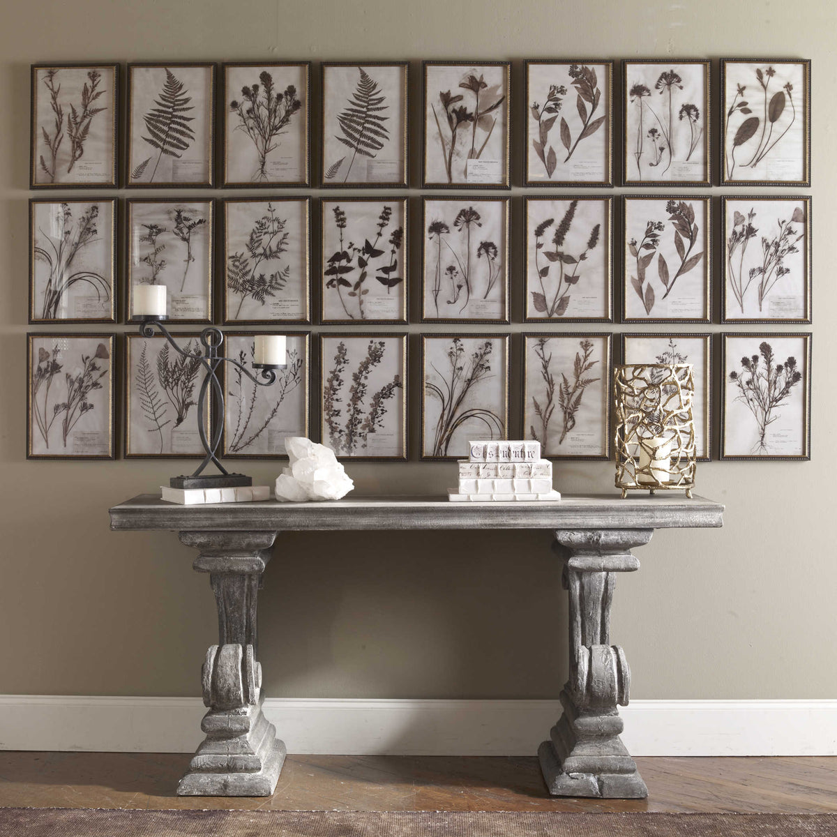Botany Framed Prints, Set of 18