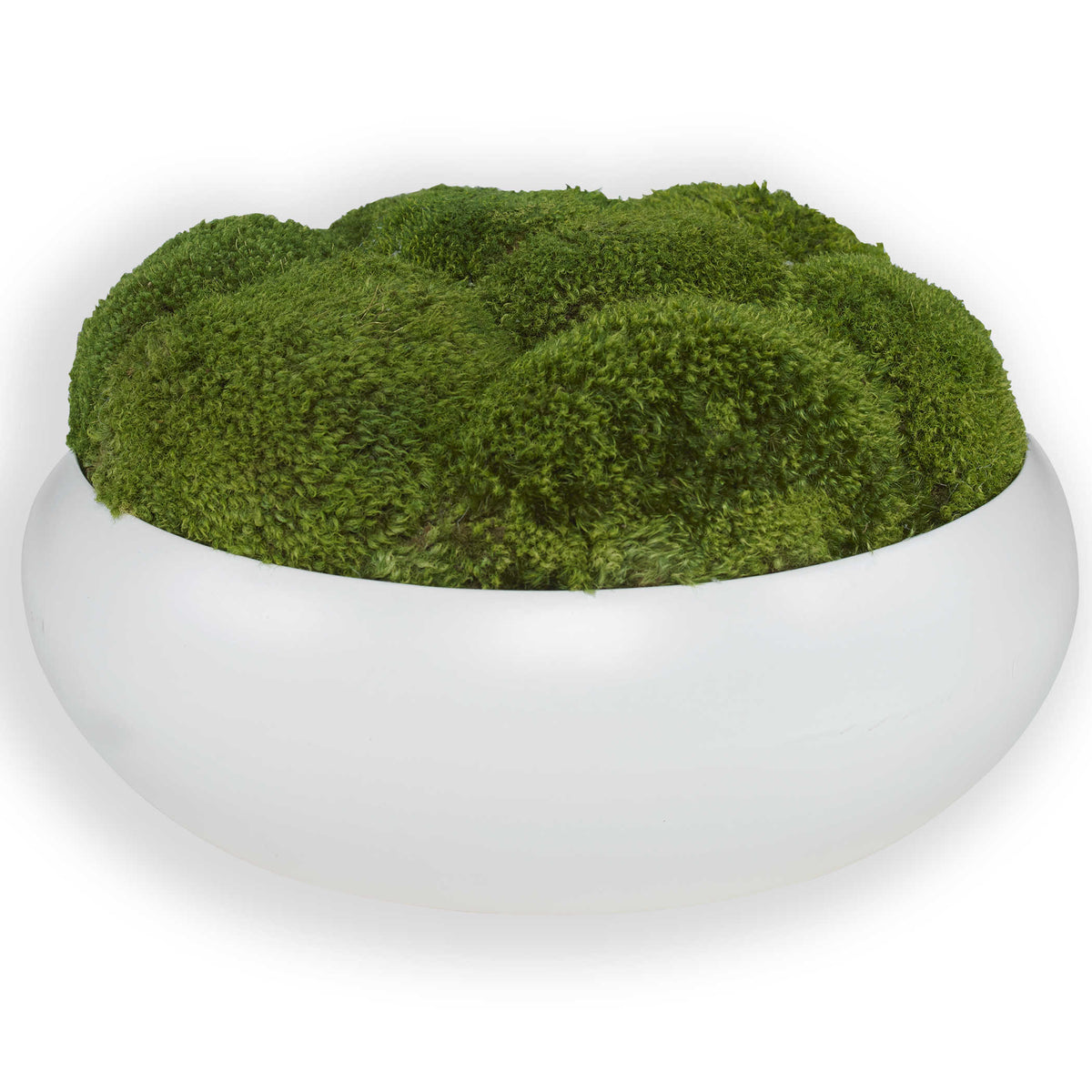 Gratia Moss Centrepiece