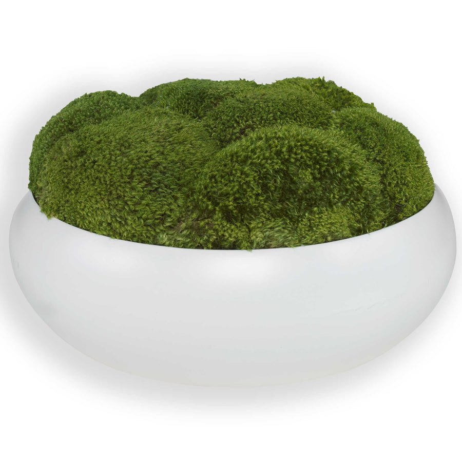 Gratia Moss Centrepiece