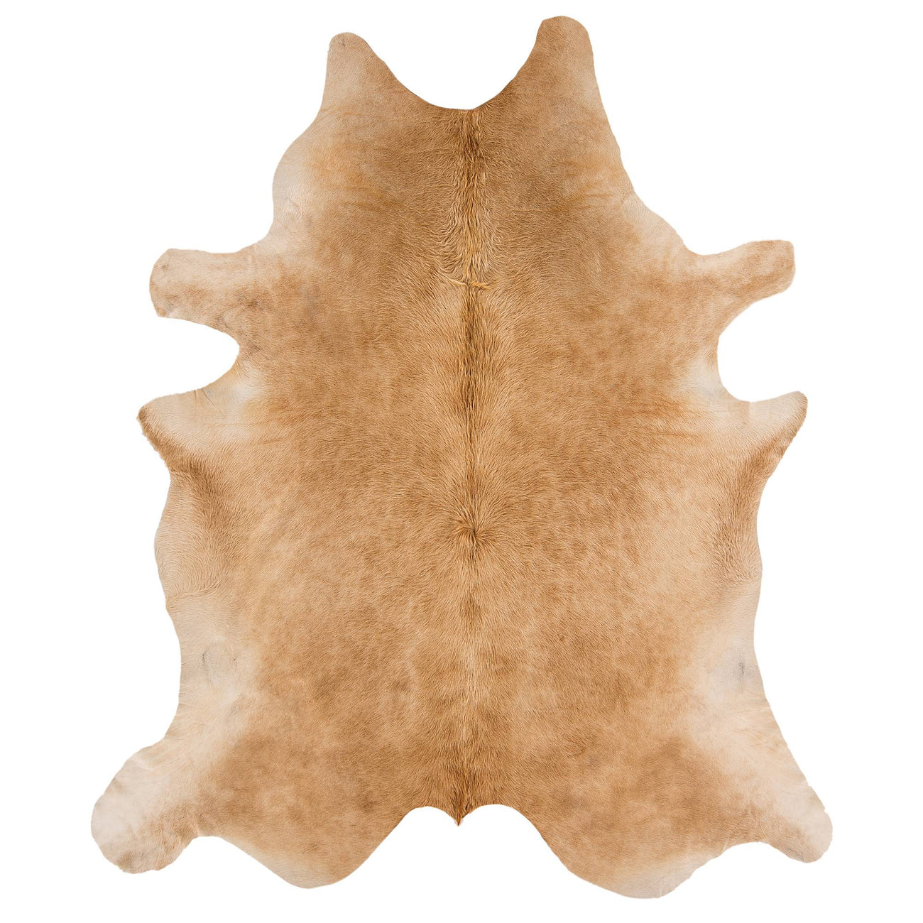 Rodeo Solid Beige genuine Brazilian cowhide rug on white background