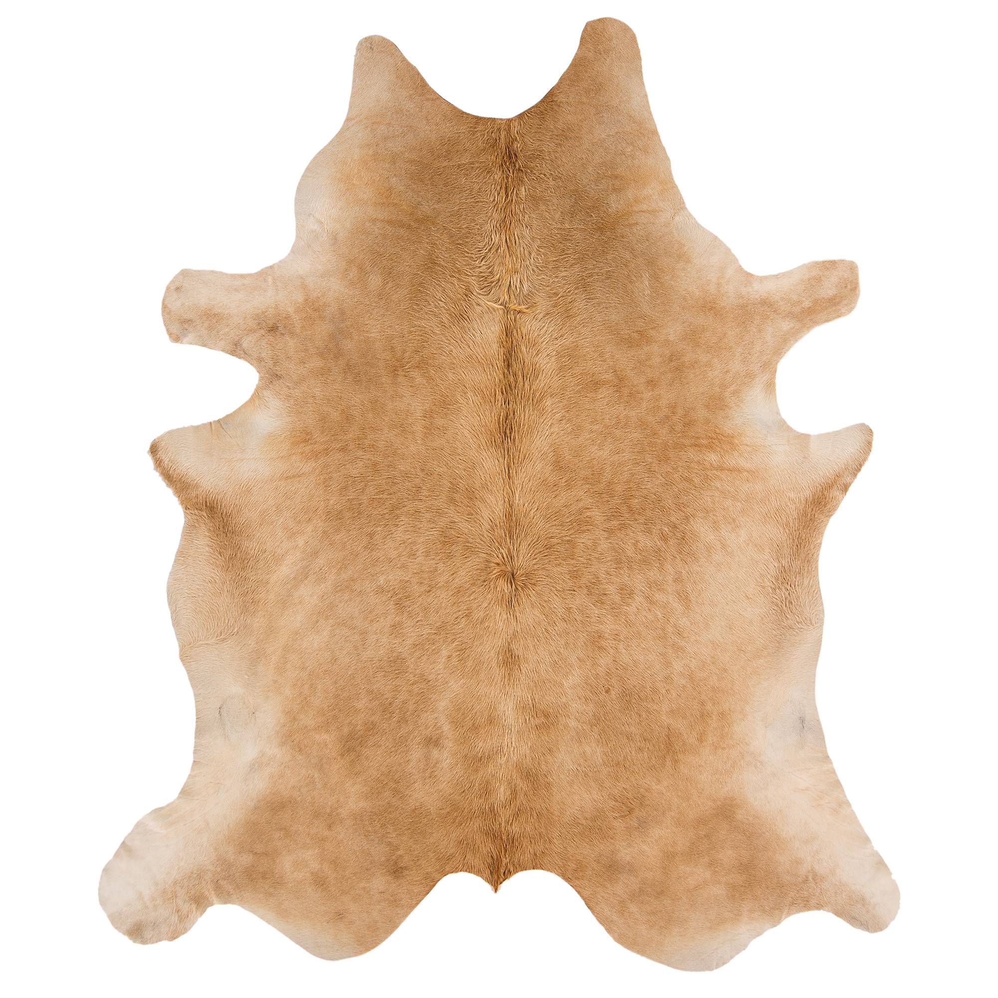 Rodeo Solid Beige genuine Brazilian cowhide rug on white background