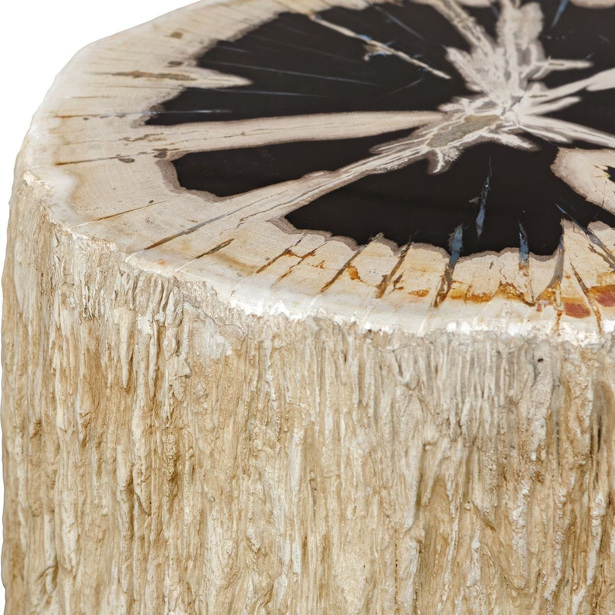 Arco Accent Table – Petrified Wood Top