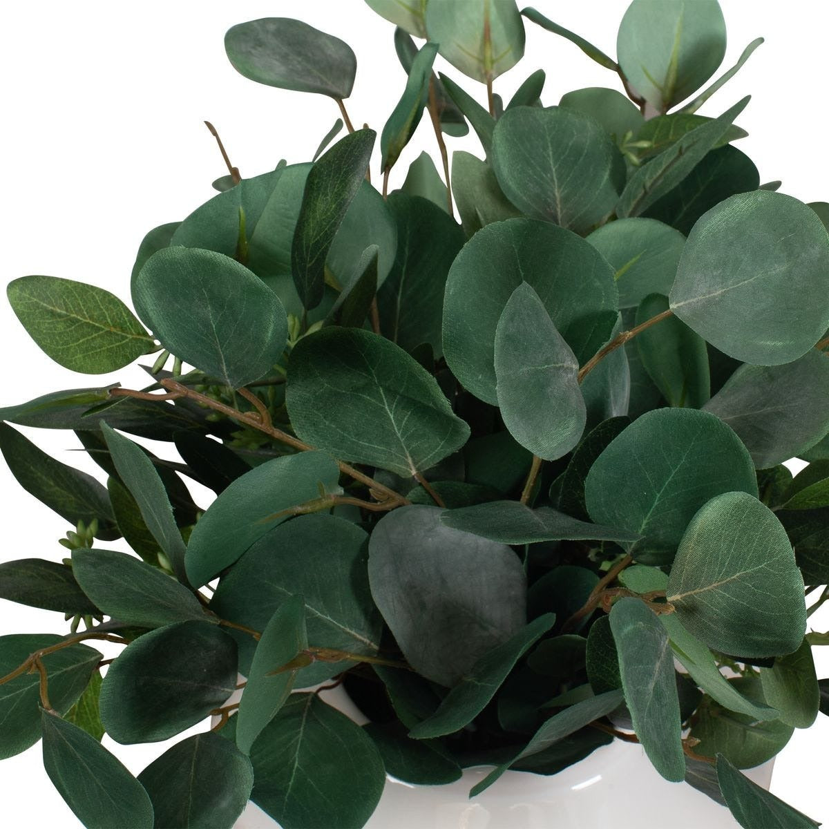 Essence Eucalyptus Accent and Vase